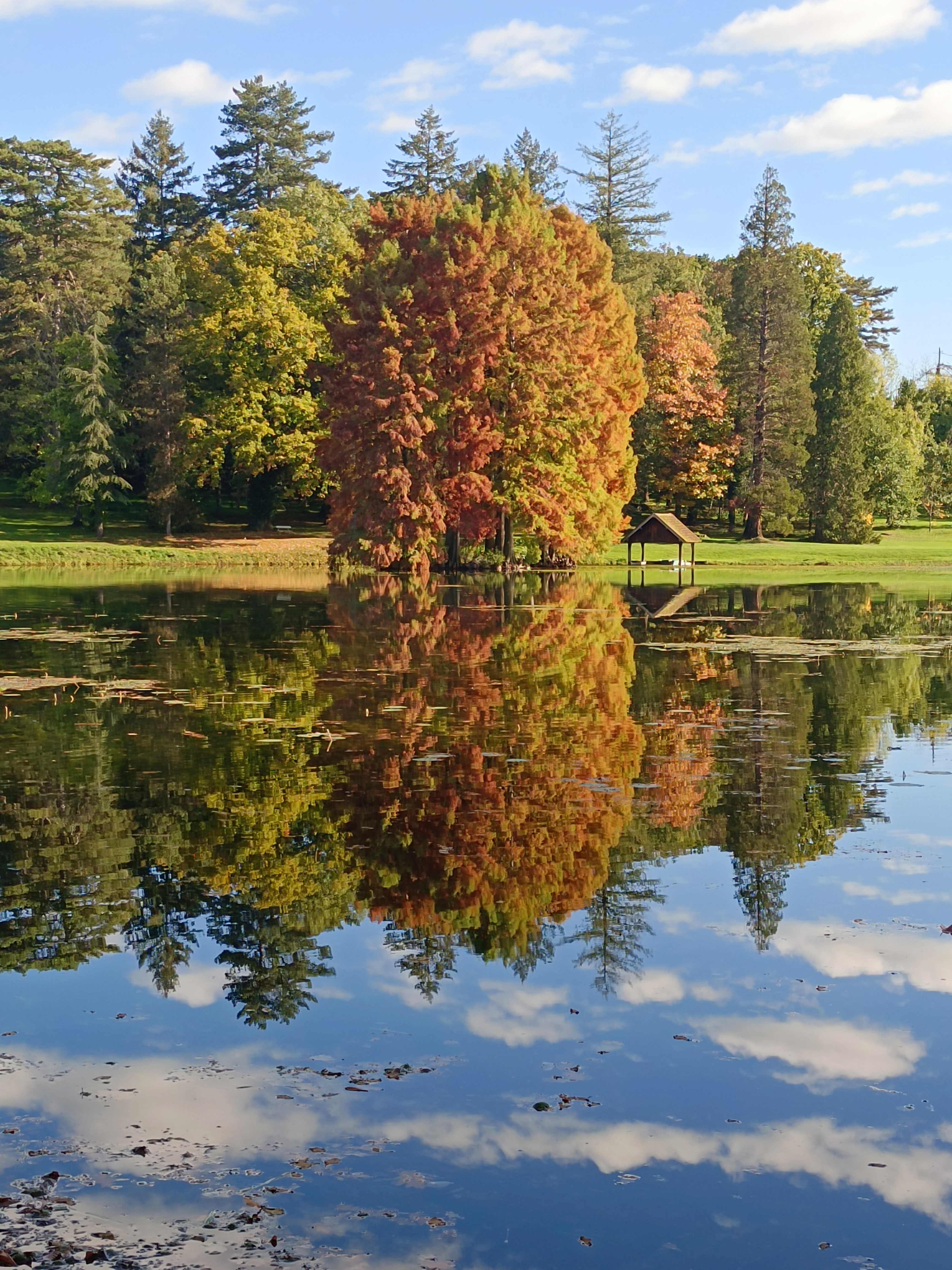 Photo n° 4 de l'avis de Alexandra.o fait le 24/10/2022 à 18:44