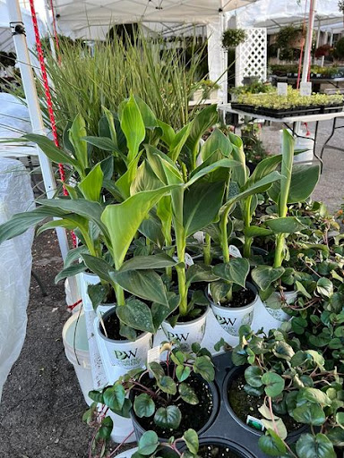 Florist «TG Designs», reviews and photos, 19231 Longmeadow Rd, Hagerstown, MD 21742, USA