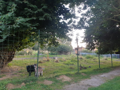 La Ferme des Loups à Caudry