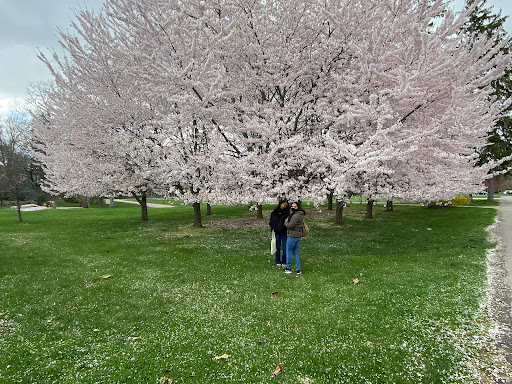 Museum «Franklin D. Roosevelt Presidential Library and Museum», reviews and photos