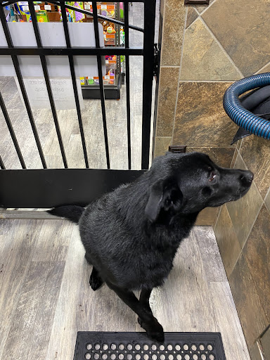 Pet Supply Store «Pet Supermarket, Inc.», reviews and photos, 1052 Peachtree Industrial Blvd, Suwanee, GA 30024, USA