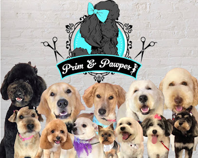 Prim And Pawper Dog Grooming