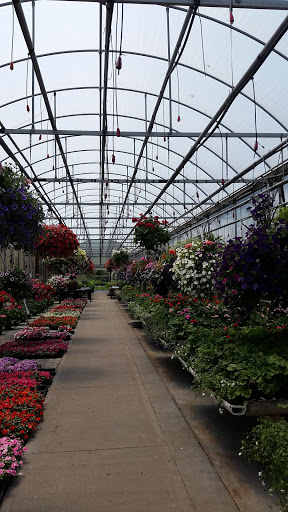 Kerns Florist and Greenhouse image 10