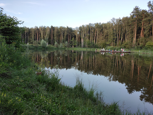 Meschersky park