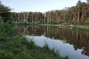 Meschersky park image