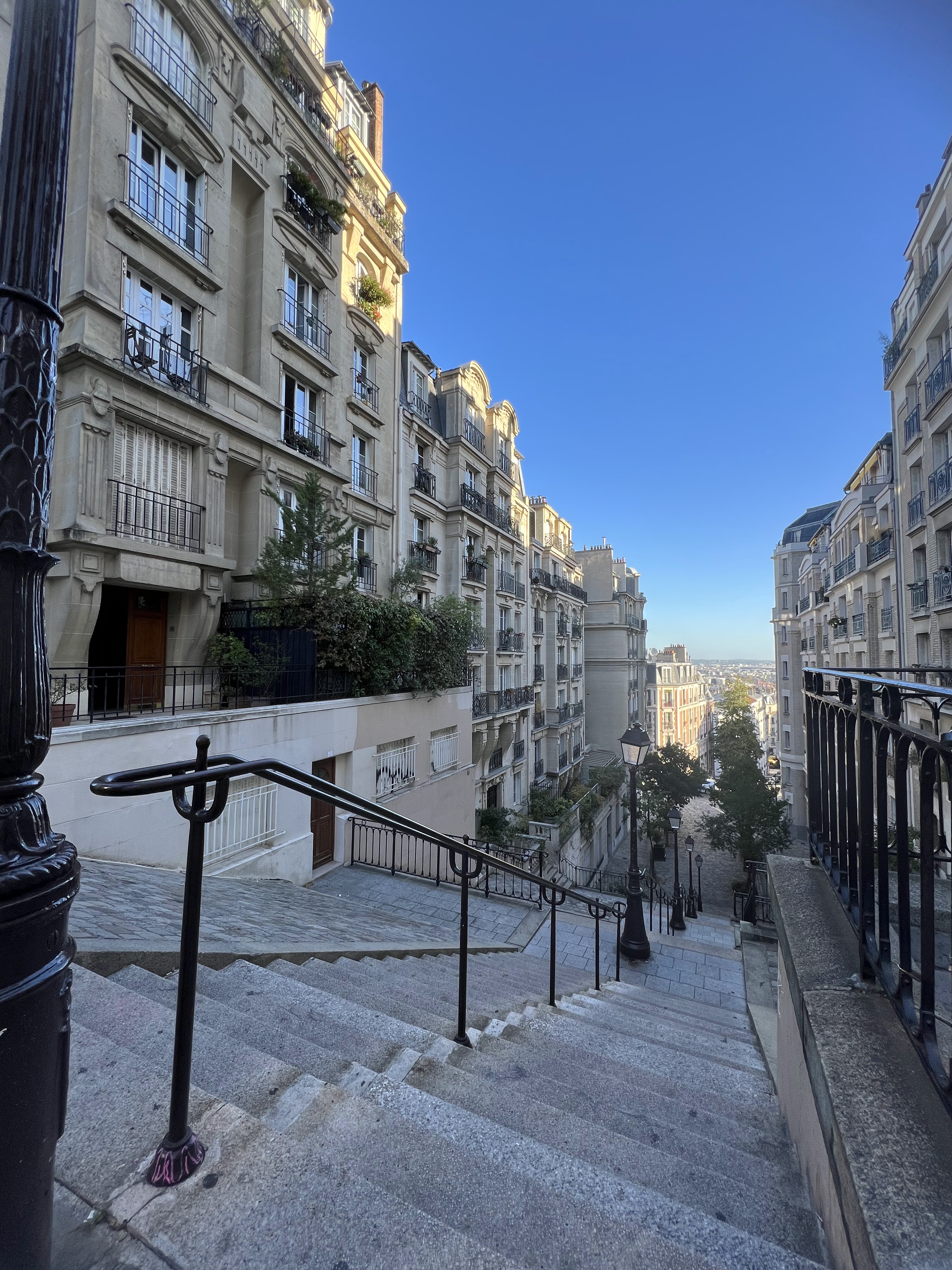 Photo n° 1 de l'avis de C.e fait le 24/11/2022 à 11:11