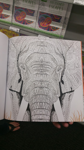 Pet Supply Store «Petco Animal Supplies», reviews and photos, 21178 E Ocotillo Rd, Queen Creek, AZ 85142, USA