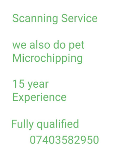 Comments and reviews of KA Dog Ultrasound Scanning Service