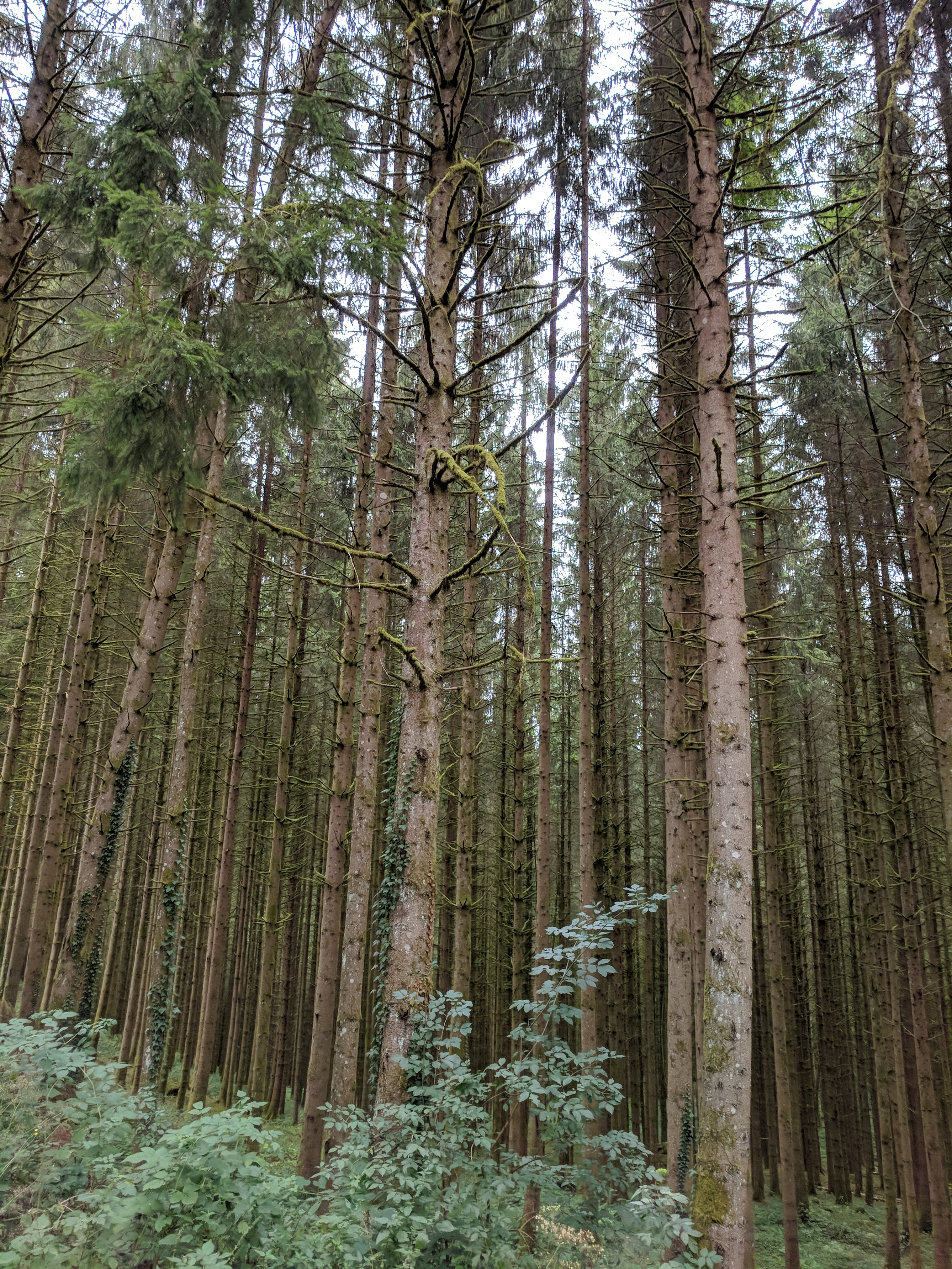 Photo n° 3 de l'avis de LAMBERT.r fait le 27/08/2018 à 11:58