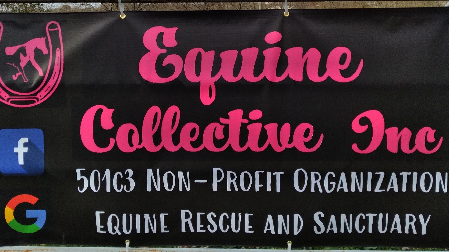 Equine Collective INC.