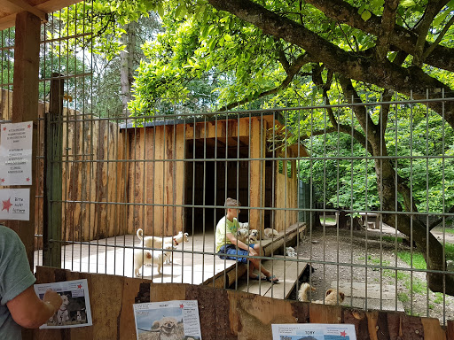 Animal hostel Donzdorf e. V. unter Donzdorf, 
