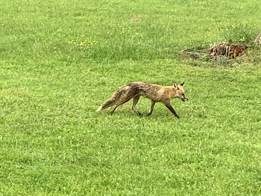 Park «Harford Glen Park», reviews and photos, 502 W Wheel Rd, Bel Air, MD 21015, USA