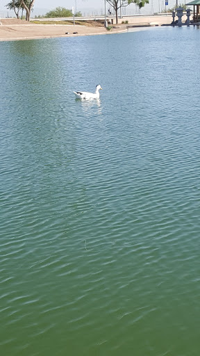 Park «Friendship Park», reviews and photos, 12325 W McDowell Rd, Avondale, AZ 85323, USA