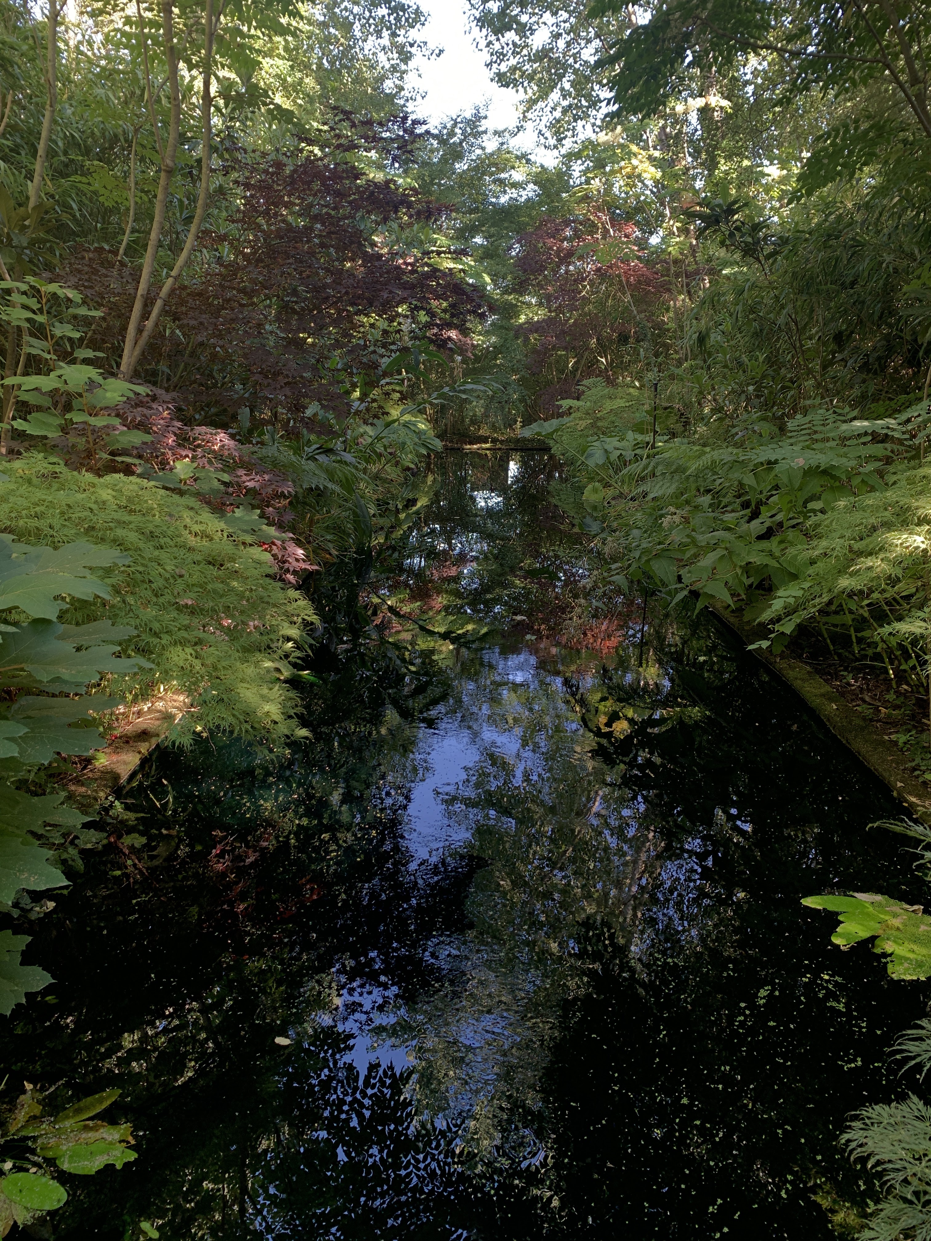 Photo n° 4 de l'avis de Julien.a fait le 26/08/2023 à 05:20