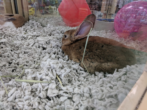 Pet Supply Store «Pet Supermarket», reviews and photos, 268 Grande Heights Dr, Cary, NC 27513, USA