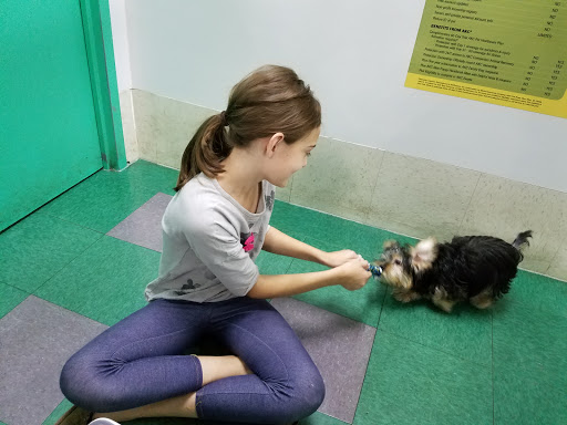 Pet Store «Petland Fairfax», reviews and photos, 9404 Main Street, Fairfax, VA 22031, USA