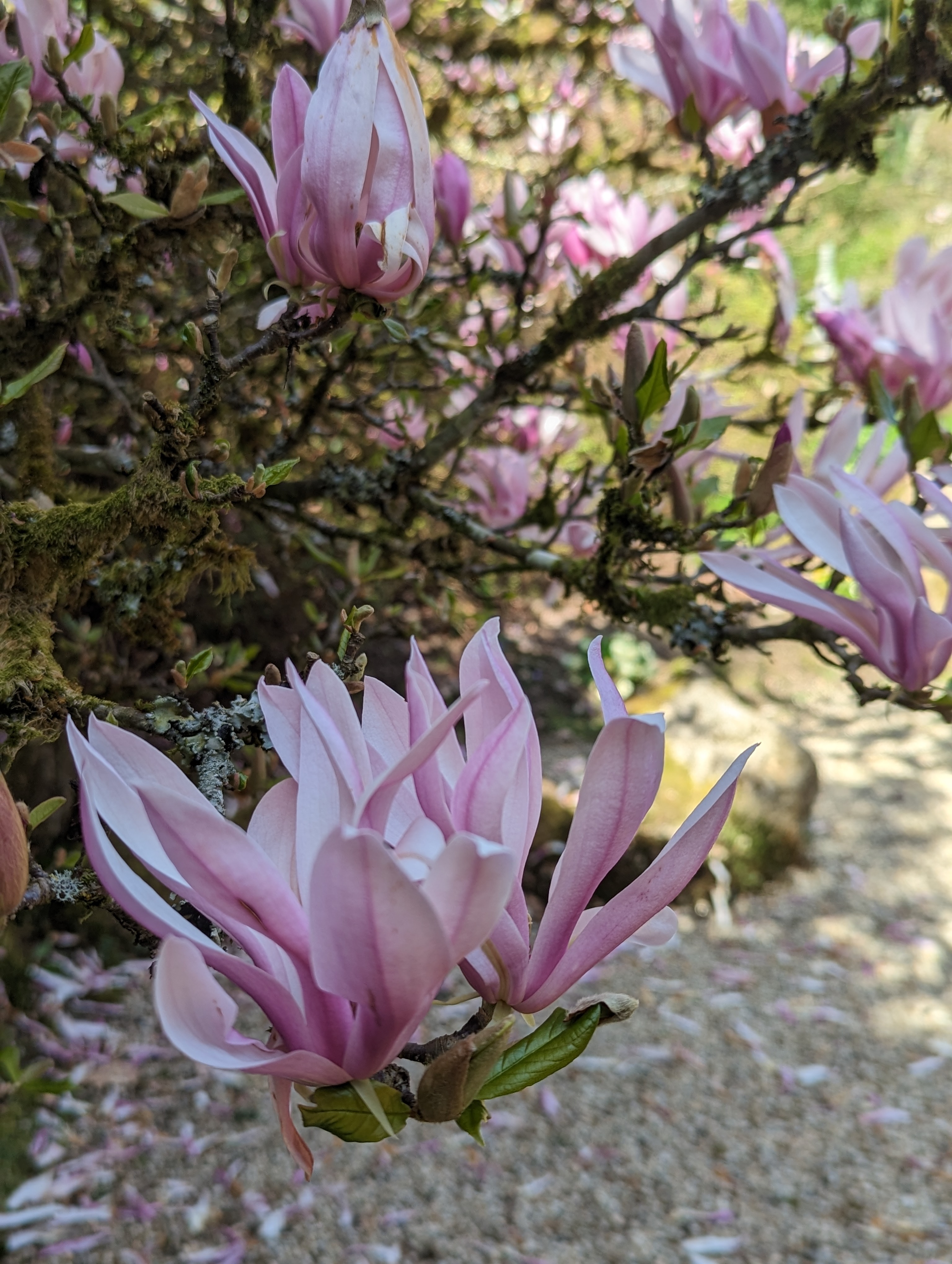 Photo n° 9 de l'avis de Anaïs.A fait le 13/04/2023 à 13:04
