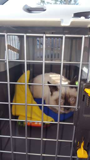 Pet Supply Store «Pet Food Express», reviews and photos, 1388 S California Blvd, Walnut Creek, CA 94596, USA