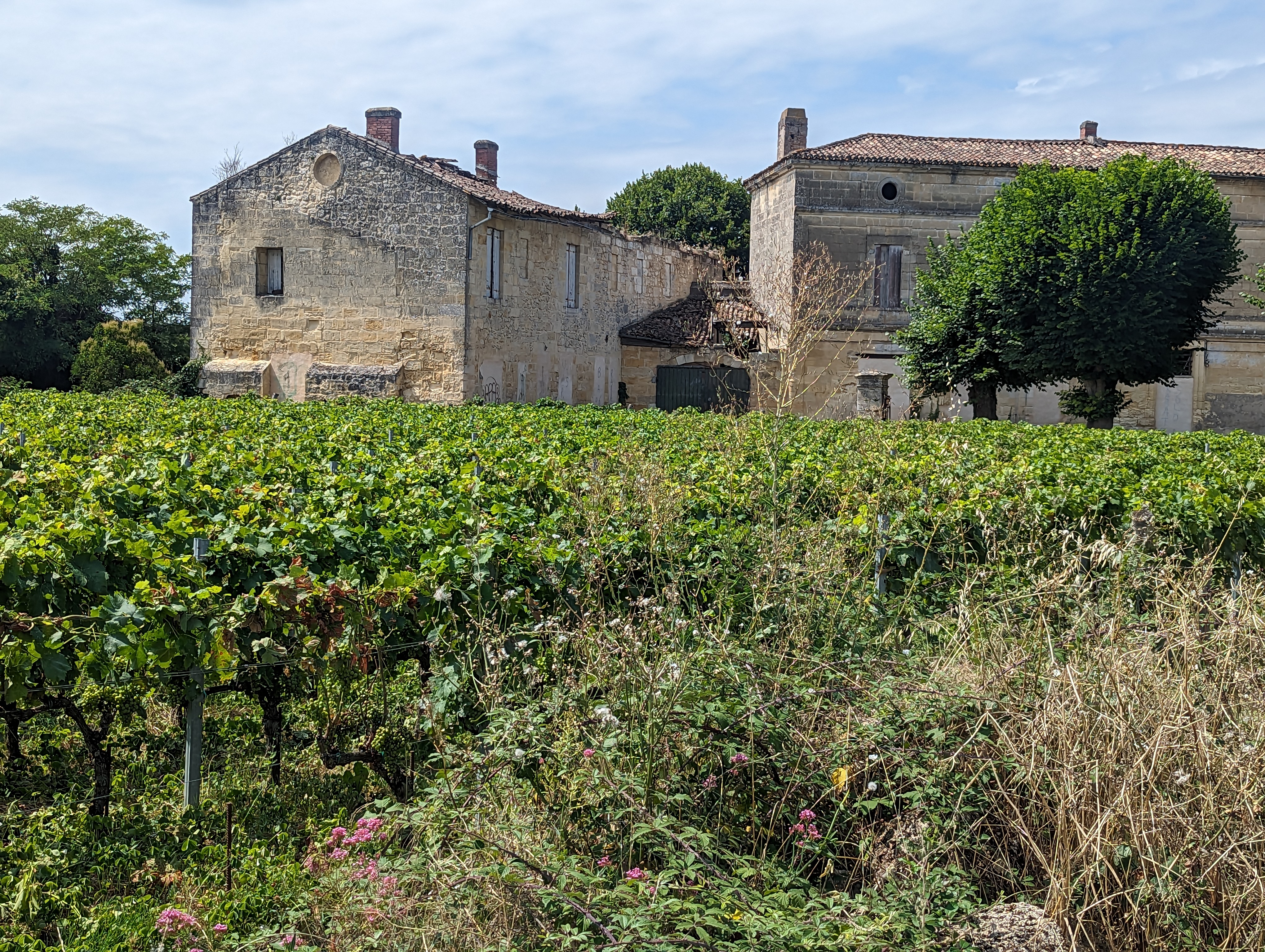 Photo n° 3 de l'avis de Skerries.e fait le 19/07/2023 à 10:22