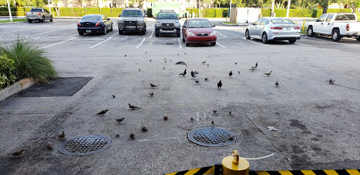 Tire Shop «Adventure Tires», reviews and photos, 7930 NW 36th St #13, Doral, FL 33166, USA