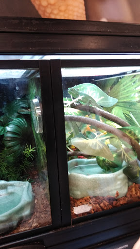 Pet Supply Store «PetSmart», reviews and photos, 5241 Monroe St, Toledo, OH 43623, USA