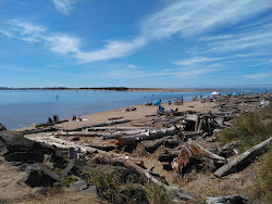 Photo de Lincoln City Beach et le règlement