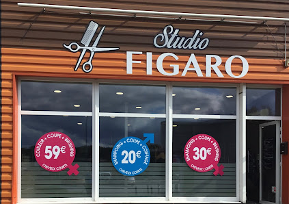 Studio Figaro 69 Rue du Général Leclerc, 88190 Golbey, France