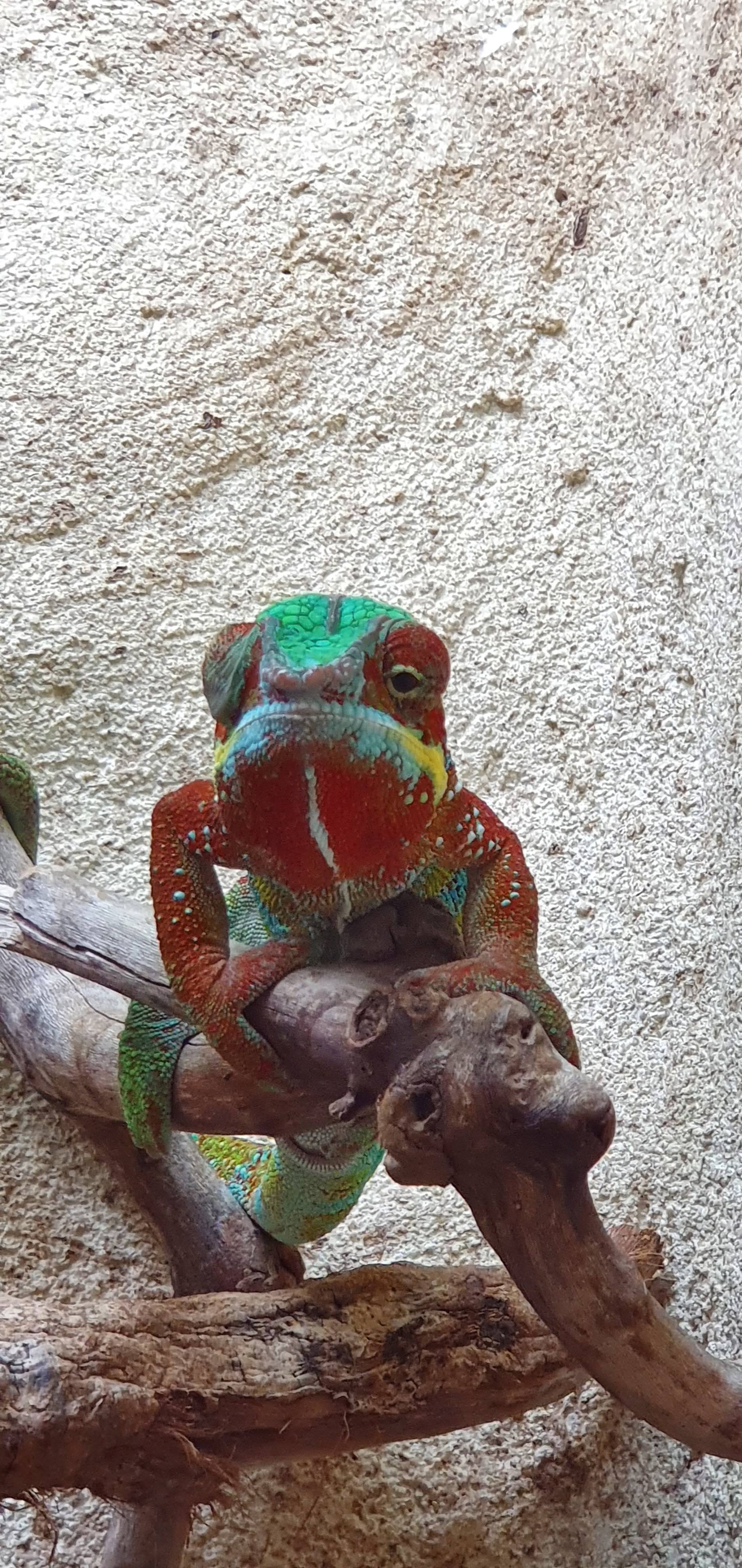 Photo n° 31 de l'avis de Laëtitia.E fait le 25/07/2020 à 00:11