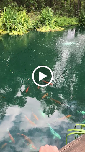 Winery «Dakotah Vineyards & Winery», reviews and photos, 14365 US-19, Chiefland, FL 32626, USA