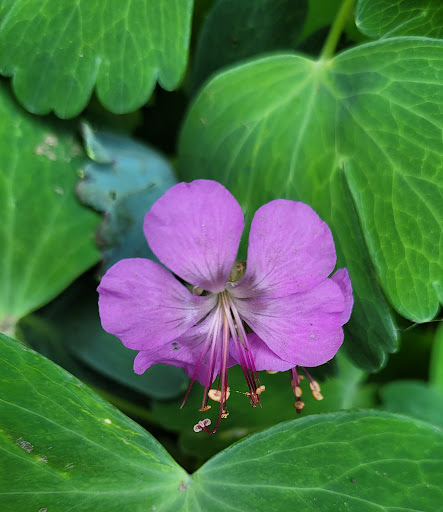 Grocery Store «Bakers General Store», reviews and photos, 44573 US-26, Seaside, OR 97138, USA