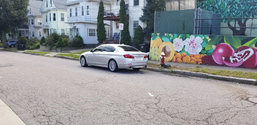 Grocery Store «Arax Market», reviews and photos, 585 Mt Auburn St, Watertown, MA 02472, USA