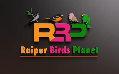 The Raipur Birds Planet image