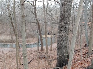 Wheelock Park - photo 12