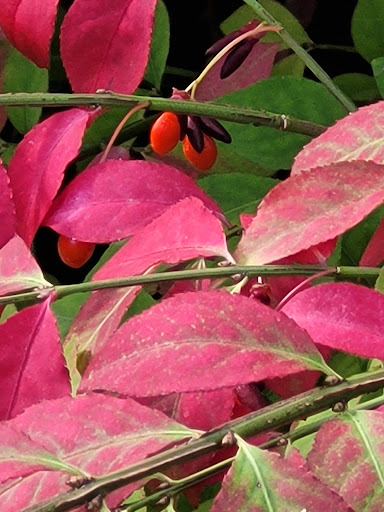 Park «Winnekenni Park», reviews and photos, 347 Kenoza Ave, Haverhill, MA 01830, USA