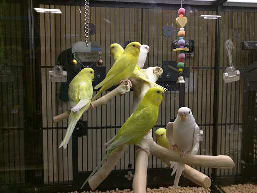 Pet Supply Store «PetSmart», reviews and photos, 1225 Industrial Rd, San Carlos, CA 94070, USA