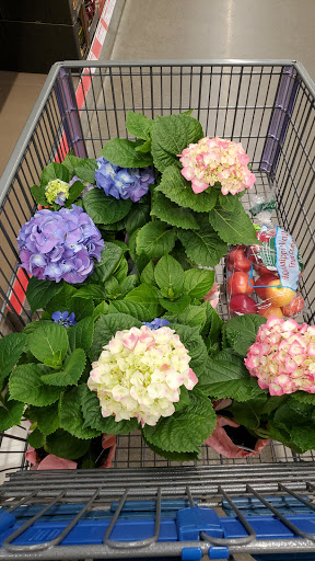 Supermarket «ALDI», reviews and photos, 289 12th St SW, Forest Lake, MN 55025, USA