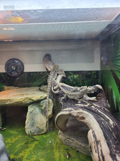 Pet Supply Store «PetSmart», reviews and photos, 7340 W 191st St, Tinley Park, IL 60487, USA