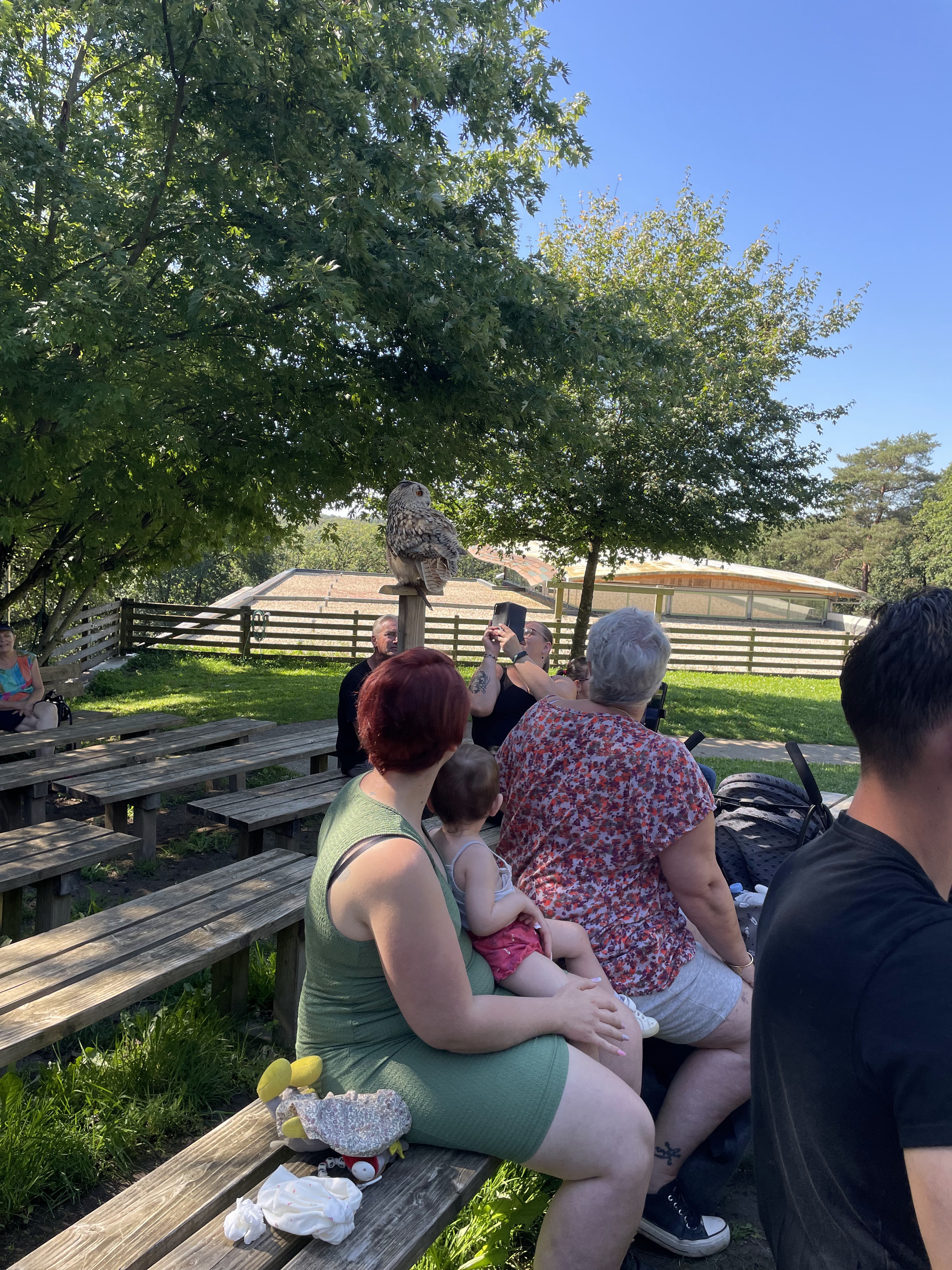 Photo n° 5 de l'avis de catherine.h fait le 22/08/2023 à 10:19