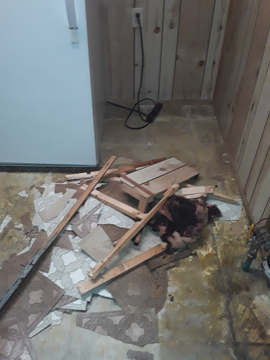 Plumber «Roto-Rooter Plumbing & Drain Services», reviews and photos, 10007 Denison Ave, Cleveland, OH 44111, USA