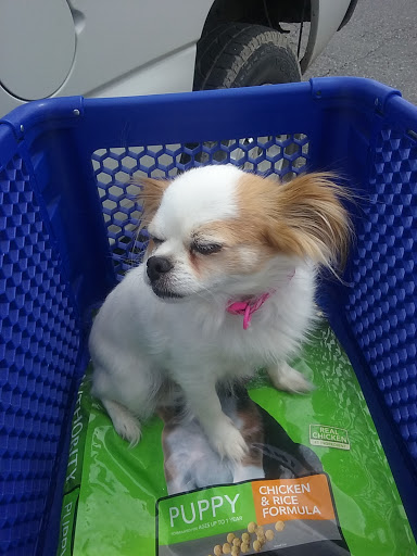 Pet Supply Store «PetSmart», reviews and photos, 2997 Max Ave, Bozeman, MT 59718, USA