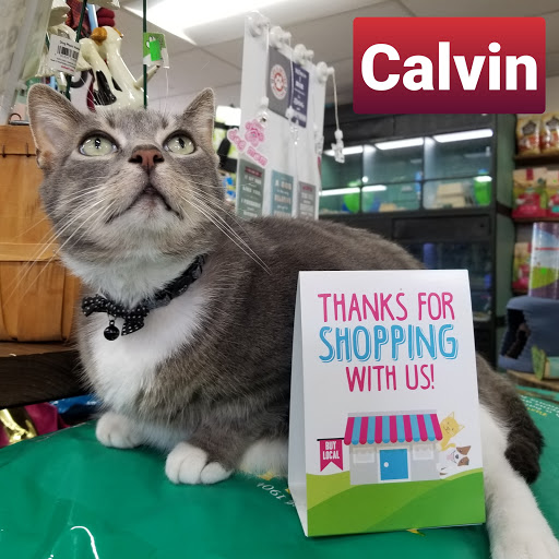 Pet Supply Store «The Grooming Place Pet Shop», reviews and photos, 1713 Main St, Chester, MD 21619, USA