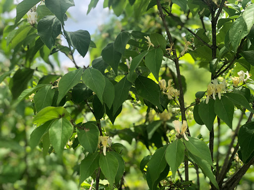 Campground «Winton Woods Campground», reviews and photos, 10245 Winton Rd, Cincinnati, OH 45231, USA