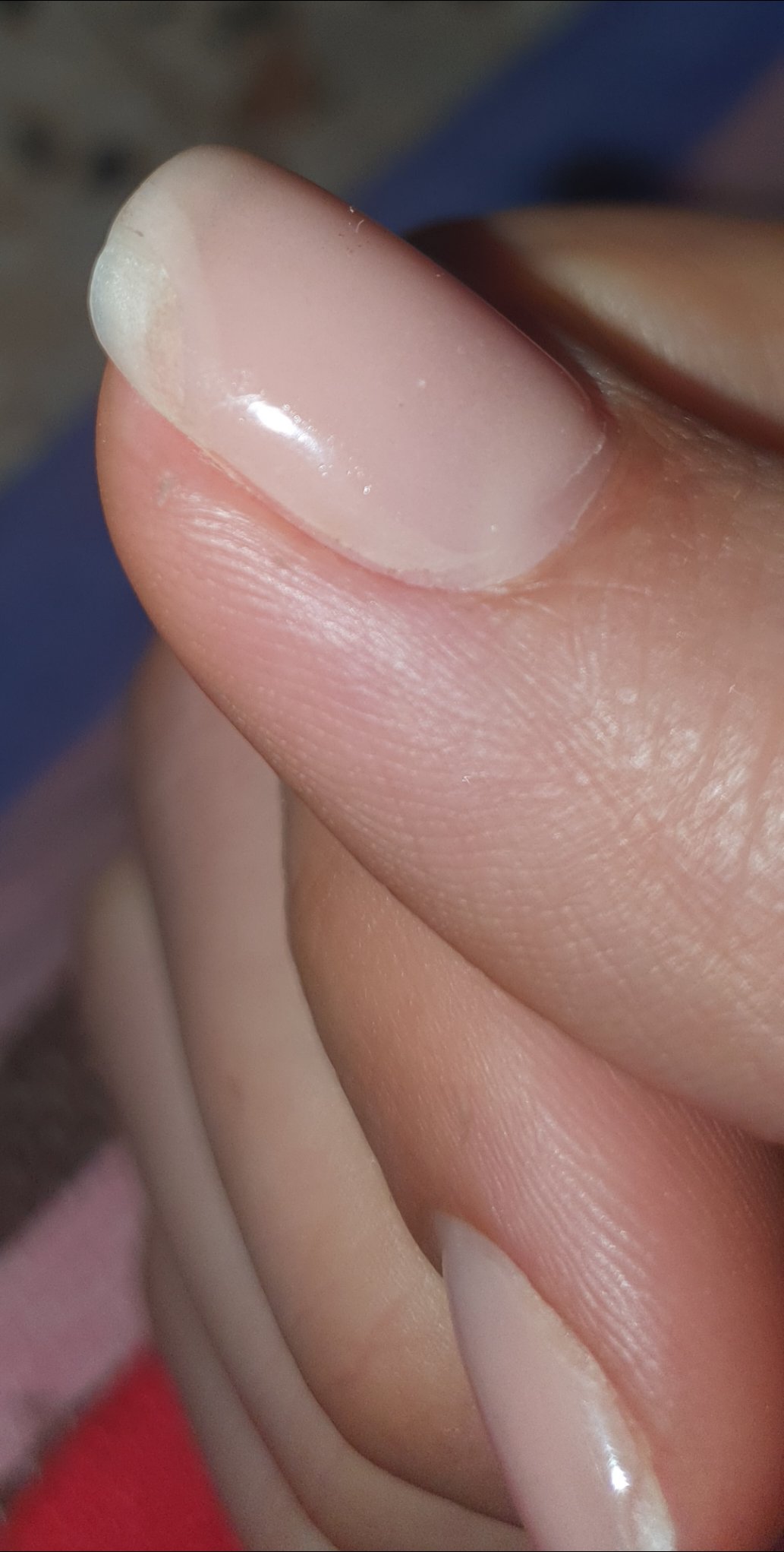 Photo n° 1 de l'avis de Bila. fait le 09/03/2024 à 16:35
