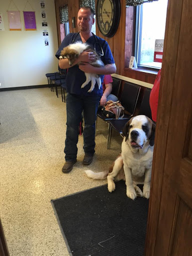 All About the Animals Veterinary Clinic image