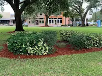 Victor Smith Law Group, PA - Car repair in Winter Haven, FL, Winter Haven - Rated 4.0/5