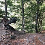 Photo n°35 de l'avis de Sara.a fait le 16/09/2022 à 06:36 sur le  Agriturismo Le Radici à Blessagno