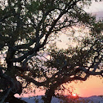 Photo n°7 de l'avis de Carmo.i fait le 23/05/2023 à 20:15 sur le  Cedrim Hillside - Turismo Rural à Cedrim