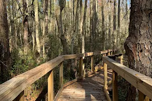 Cary State Forest image