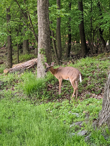 Historical Place «Fort Lee Historic Park», reviews and photos, Hudson Terrace, Fort Lee, NJ 07024, USA