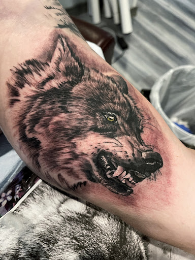Explore snake tattoo ideas, creative tattoo ideas in Pittsburgh, available at Skin Deep Tattoo Gallery